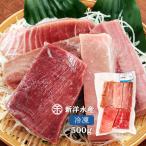 [新洋水産] まぐろ 養殖本まぐろ切り落とし中トロ入り(刺身用) 500g /本マグロ/赤身/養殖/刺身/丼/冷凍/冊/一品/アレンジ/生簀/ まぐろの館 松榮丸