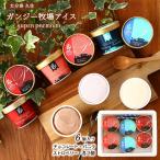 アイス 送料無料 ガンジー牧場アイス6個入り 130ml×6 (バニラ・チョコ・ストロベリー×各2個) スイーツ お中元 贈り物 くじゅう 大分県