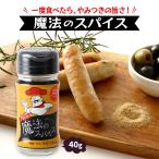 [ штраф f-z Japan ] специя магия. специя 40g / приправа специя приправа этнический национальная кухня внизу тест .. приправа .. прекрасный тест .. тест менять акцент 