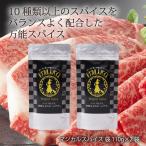 送料無料 スパイス ライフテック マジカルスパイス 袋 110g×2袋セット /万能スパイス 魔法のスパイス