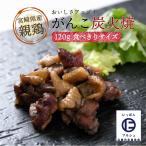 Yahoo! Yahoo!ショッピング(ヤフー ショッピング)[宮崎エヌフーズ] 宮崎県産がんこ炭火焼 120g /鶏モモ おつまみ おいしい お取り寄せ グルメ ギフト