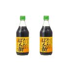 [ гора внутри головной офис ] уксус ...... уксус 500ml×2 / Kyushu Kumamoto префектура Kikuchi .. старый магазин . структура изначальный 