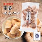 [健扇] 煎餅 昔ながらの生姜せんべい 120g /九州 宮崎 昔ながらの 懐かしい 菓子 煎餅 郷土銘菓