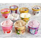 ショッピングお中元 アイス アイスクリームギフト 弘乳舎 熊本バラエティアイスセット 9個 BM-9 /カップアイス お中元 プレゼント 誕生日 夏 残暑見舞い 子供 喜ばれるギフト