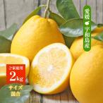 みかん フレッシュつ�