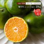 愛媛県産みかん 10kg [玉津柑橘倶楽部] 温州みかん(極早生) 訳あり品 10kg S〜Lサイズ混合 【発送時期:9月下旬頃〜】/フルーツ 極早生みかん 産地直送 送料無料