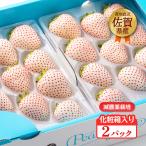  Saga префектура производство белый клубника бесплатная доставка - cocos nucifera da ферма Saga префектура производство клубника жемчужно-белый 2 упаковка [ отправка время :3 месяц сверху . примерно ~]/ белый клубника высококлассный . местного производства фрукты подарок .. для 