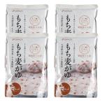 おかゆ ベストアメニティ もち麦がゆ 250g×4袋セット /おかゆ 国産 九州 もち麦 レトルト食品 レトルト やさしい味 消化にやさしい 体にやさしい あっさり