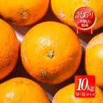 和歌山県産 オレンジ 10kg 送料無料 [森本農園] 清見オレンジ 訳あり M〜3L 10kg 【3月上旬頃〜順次配送】 /訳あり 訳アリ 家庭用 自宅用 国産 みかん 産地直送