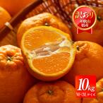 和歌山県産 デコポン 10kg 送料無料 [森本農園] 不知火(デコポン) 訳あり M〜3L 10kg 【2月中旬頃〜順次配送】 /訳アリ ご家庭用 ご自宅用 国産 みかん 産地直送