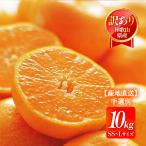 和歌山県産みかん 10kg 送料無料 [森本農園] 丹生系みかん 訳ありSS〜L 10kg 【出荷時期:2月上旬頃〜】/完熟 温州みかん 訳アリ 家庭用 自宅用 国産 ミカン 柑橘