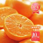 和歌山県産みかん 10kg 送料無料 [森本農園] 丹生系みかん 大玉3L 10kg 【出荷時期:2月上旬頃〜】/完熟 温州みかん 大玉 家庭用 自宅用 国産 ミカン 産地直送