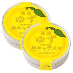  Сикоку . quotient Kochi yuzu сырой карамель 12 шарик ×2 шт. комплект / сладости местного производства закуска карамель ... земля производство рука земля производство . данный земля ... гладкий маленький подарок 