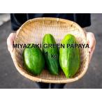 送料無料 [パパイア王子] 果物 MIYAZAKI GREEN PAPAYA 1kg(宮崎グリーンパパイア2〜3個程度)/スーパーフード/酵素/メディカルフルーツ/スムージー/漬物/パパイヤ