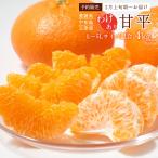 ショッピング甘平 甘平・訳あり品・4kg L~5Lサイズ混合 送料無料 果物 玉津柑橘倶楽部 【お届け時期:2月上旬頃〜】/みかん ミカン 柑橘 かんぺい 家庭用 国産 愛媛県 予約販売