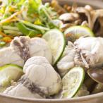  местного производства фугу-набэ комплект [si- жизнь ] местного производства фугу-набэ комплект 1kg / кастрюля комплект кастрюля кастрюля. элемент фугу гурман комплект Shimane река свинья 