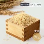 玄米 大ちゃん農場 熊本県 大ちゃん農場