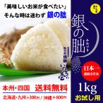 新米 銀の朏1kg 白米 プ