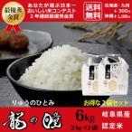 龍の瞳6kg岐阜県産いのちの壱令和...