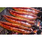 ウナギ 鰻 蒲焼 3尾セット 四万十うなぎ販売株式会社 リピート続出 一番人気の蒲焼 旨み、香り、食感ともに自信をもってお届け 送料無料 ポイント消化