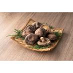  Ooita производство ......