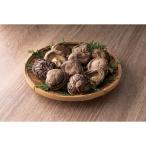  Ooita производство .....×2