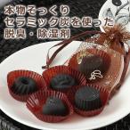 キモチイイを届ける　炭のチョコラ（１２個