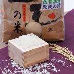 送料無料 御歳暮 喜ばれるギフト 贈り物 冬 爆買　佐賀県産 ブランド米 天使の詩 産地直送 精白米 5kg 森源商店 佐賀県 送料無料 ポイント消化