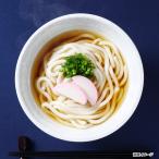 ショッピングうどん さぬきのレンチンうどん かけうどん 10食 詰合せ うどん 常温 惣菜 麺類 讃岐うどん 香川名物 電子レンジ調理