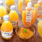 ショッピングお歳暮 2023 和歌山有田 伊藤農園 100％ピュアジュース ジュレドリンク 6種