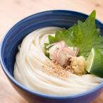 群馬県 株式会社館林うどん 産直 お取り寄せ ポイント利用　うどん 館林うどん 玉練うどん 12本 群馬名物 国産 ご当地うどん 乾麺 コシ 強い 饂飩