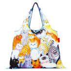 ついておいで ねこちゃん