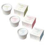 ヴィーガン アイスクリーム セット 