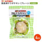 国産鶏サラダチキン プレーン 4パックセット 4袋 詰合せ サラダチキン 鶏肉 国産 無添加 常温 備蓄用 兵庫 uchipac 内野家 ポスト投函便