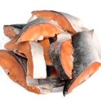 . земля лосось. магазин Showa еда Hokkaido производство высококлассный час лосось порез . сбрасывание лосось рефрижератор белый кета 