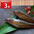 Yahoo! Yahoo!ショッピング(ヤフー ショッピング)贈答用 よしだほんてんの味 詰め合わせ3尾 惣菜 鮎 国産 ヤマメ 甘酢漬け ご飯のお供 おつまみ