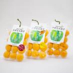  тыква данго 3 вида комплект данго Hokkaido . земля кулинария ... Hokkaido тыква юг .