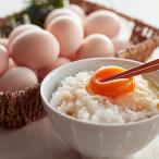 .. курица . яйцо. шар небольшая коробка сырой яйцо 3 вида комплект куриное яйцо .. курица Nagoya Coach n яйцо 