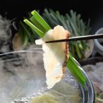 福津いいざい 玄界灘産 天然真鯛 しゃぶしゃぶ ギフト 3人前 鯛しゃぶセット