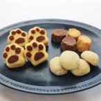 ヴィーガン グルテンフリー 米粉の焼き菓子詰め合わせBOX スイーツ