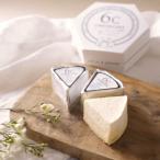 ショッピングチーズケーキ TABLES 6Cチーズケーキ プレーン ギフト 6個入 チーズケーキ 冷凍