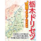  Tochigi. руководство пользователя 