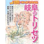  Gifu. руководство пользователя 
