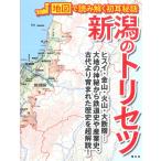  Niigata. руководство пользователя 