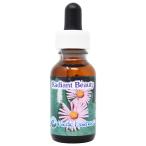 Pacific essence lati Anne to красота ~ прекрасный. прекрасное платье ..~