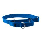 PetSafe( домашнее животное safe ) ошейник собаки premium цвет королевский синий L размер ( ширина 2.5cm)
