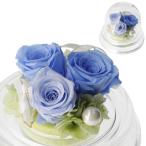  консервированный цветок Cafe консервированный цветок po M ( голубой )