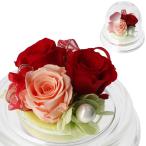  консервированный цветок Cafe консервированный цветок po M ( красный )