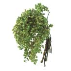  большой земля сельское хозяйство . консервированный цветок перец Berry * консервированный светло-зеленый примерно L25~30cm 55g входить DO003380-710