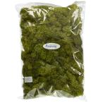  большой земля сельское хозяйство . консервированный цветок лёд Land Moss * большой пакет springs зеленый пакет размер W30×H40cm 500G входить DO061073-780